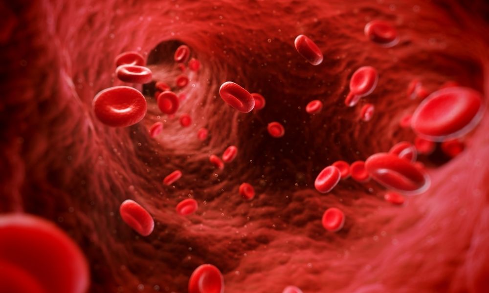 Facts You Probably Didn't Know About Human Blood
