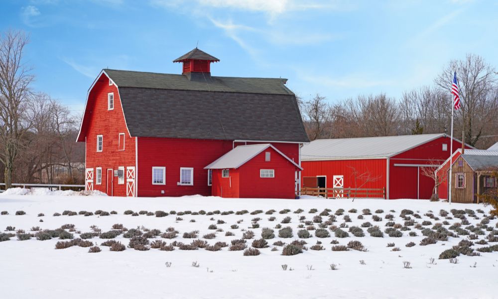 Winter Farming Tips To Stay Productive in the Off-Season