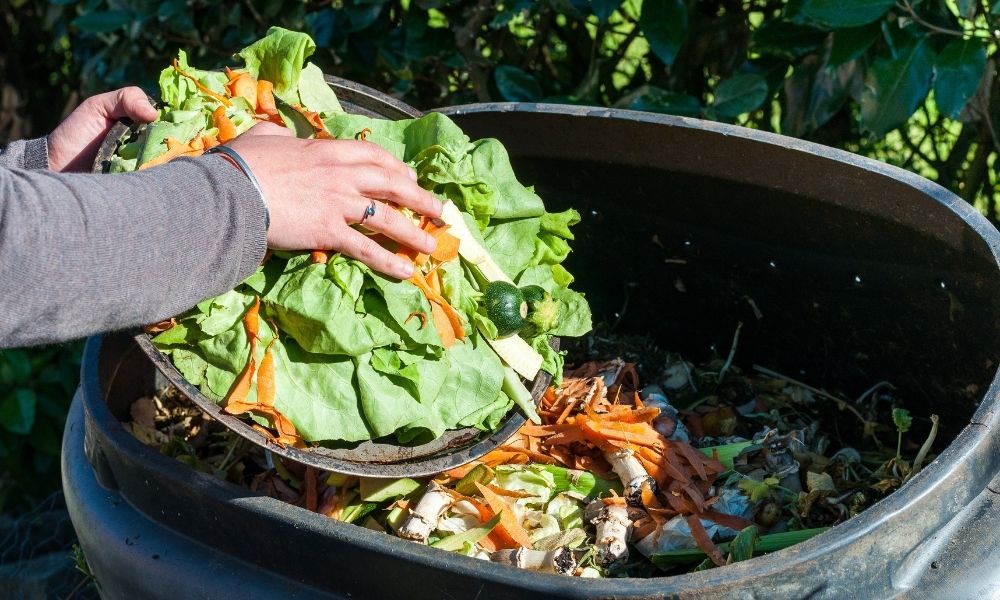 The Benefits of Starting Composting at Home