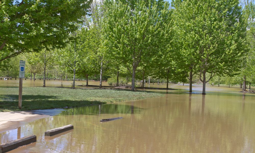 How To Reduce Flood Risk in Your Community Park