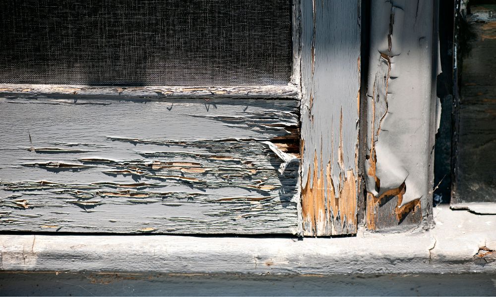 Why Homeowners Shouldn’t Ignore Rotten Wood